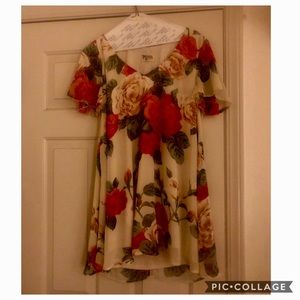 🚫SOLD🚫SMYM Kylie Mini Dress